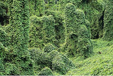 悬疑惊悚角色扮演游戏《死亡终局轮回试炼2》数位版今日正式于NS平台登场